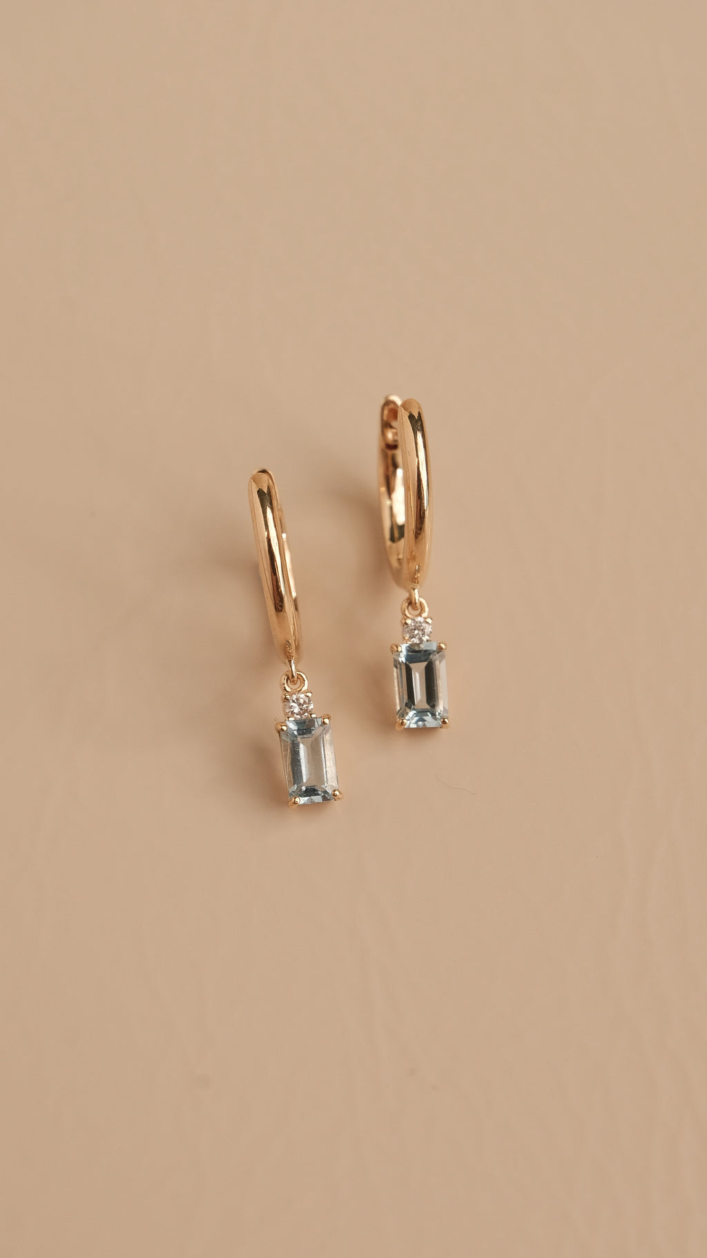 Theresa Hoop Earrings