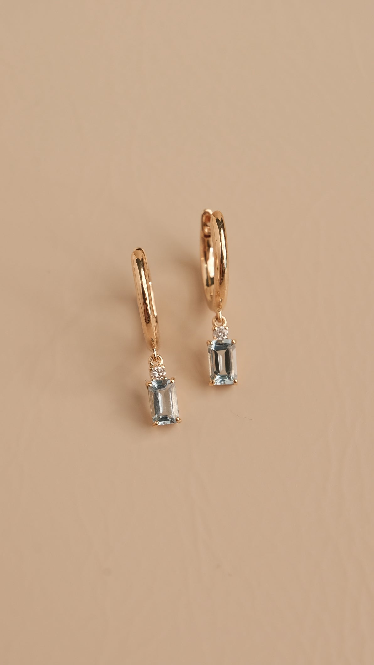 Theresa Hoop Earrings