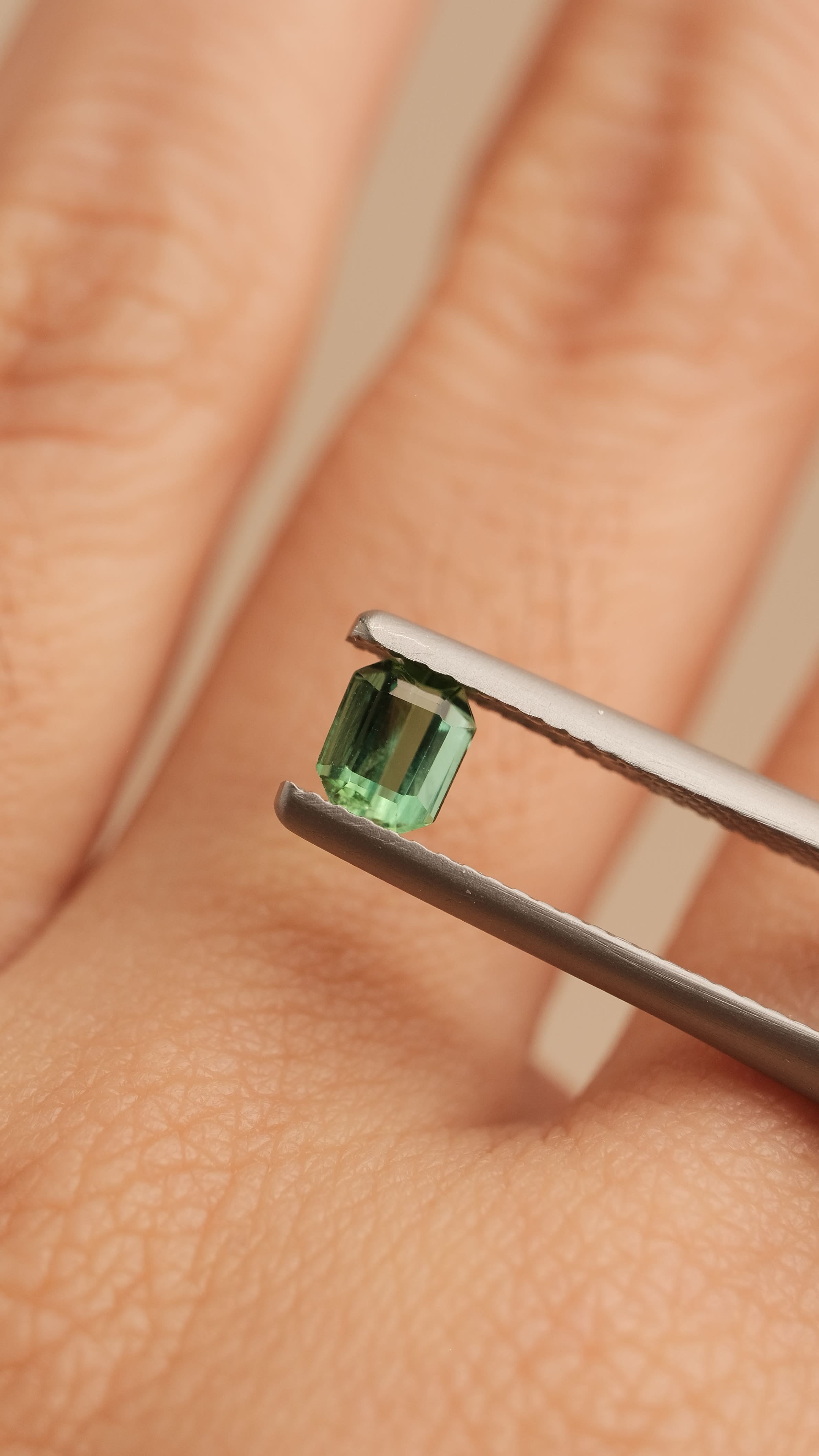 Tourmaline #24