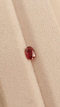 Ruby #5