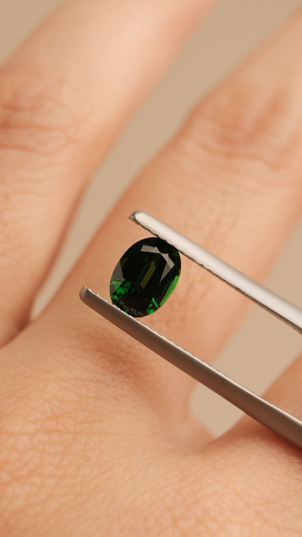 Tsavorite Garnet #1