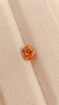 Garnet #2