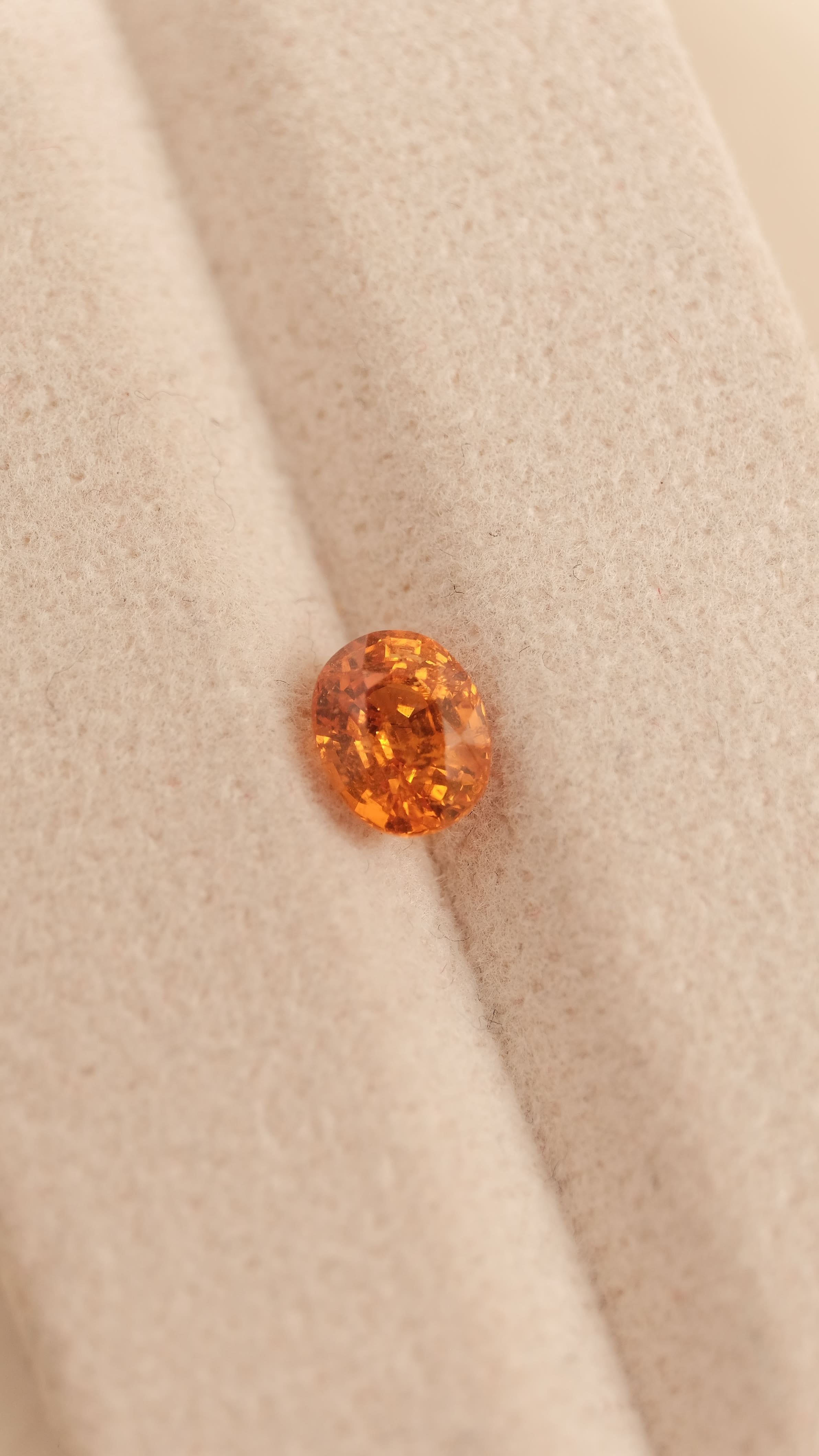 Garnet #2