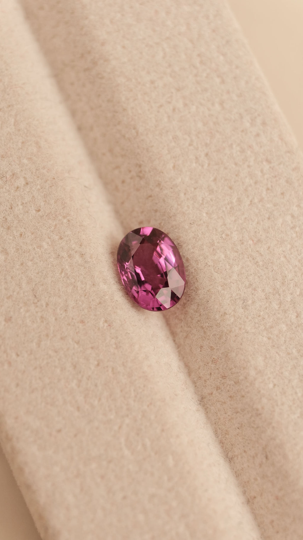 Garnet #5