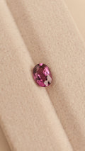Garnet #5