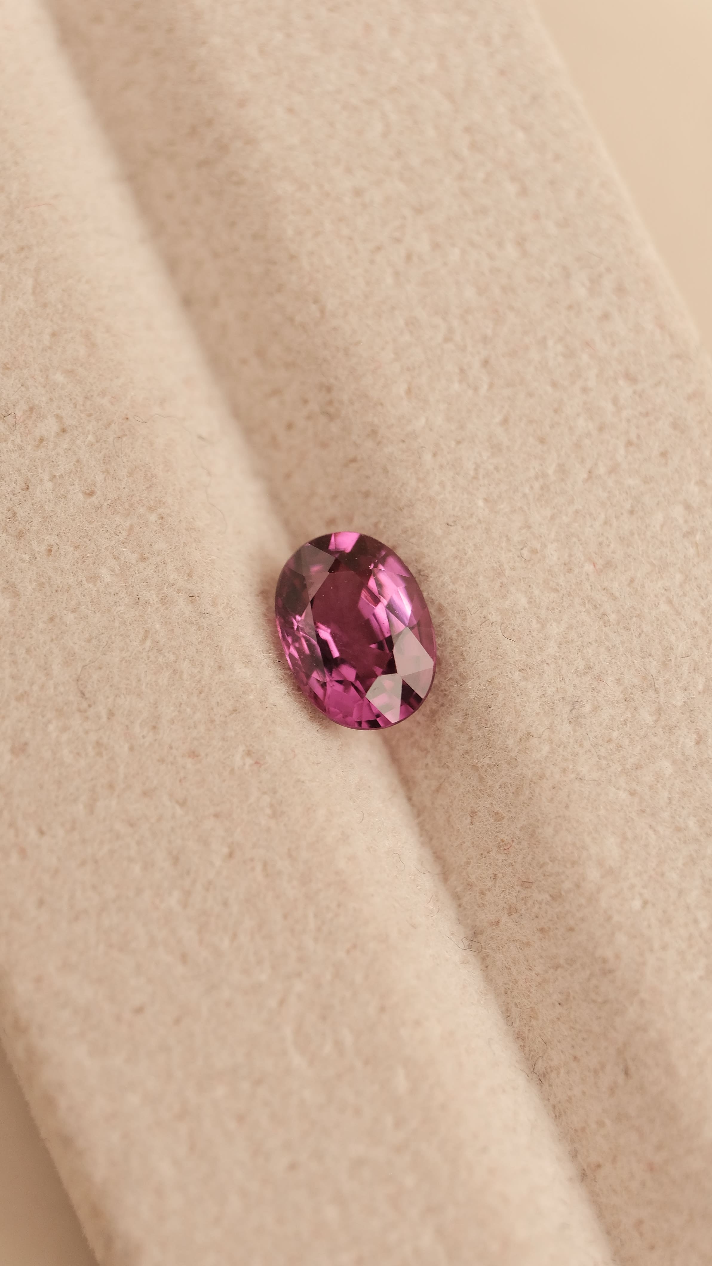Garnet #5