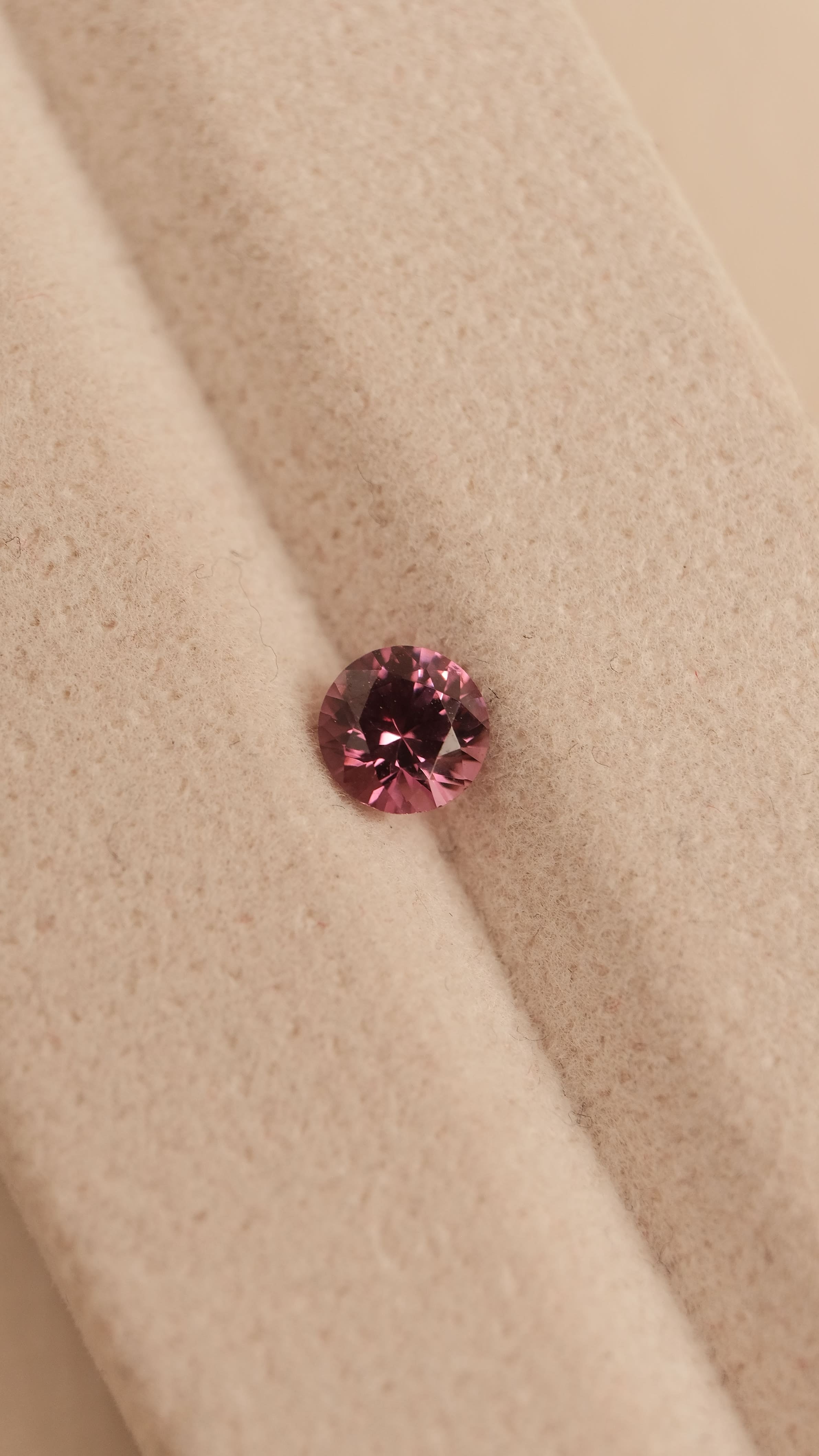 Garnet #6