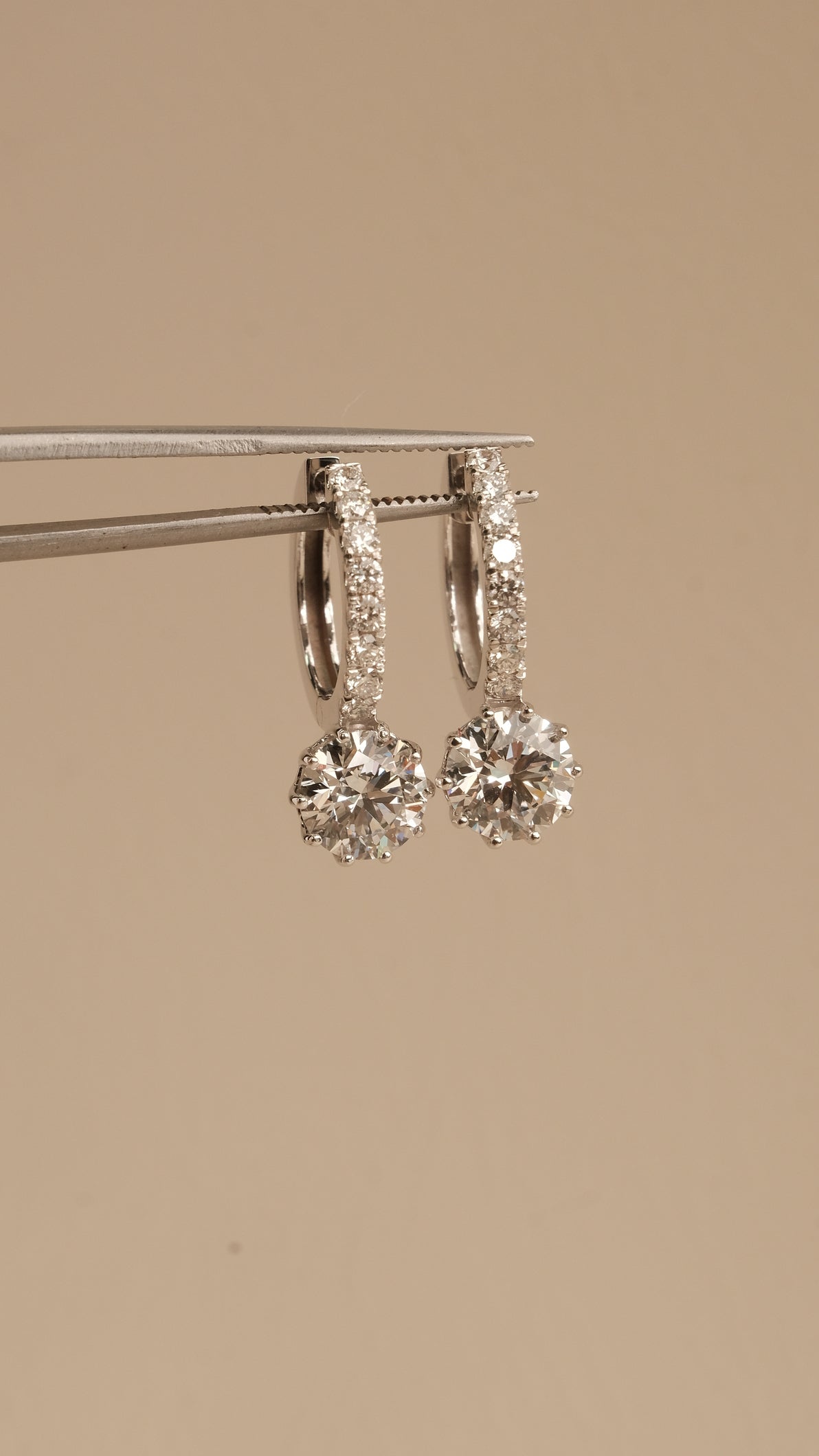 Claire Hoop Earrings