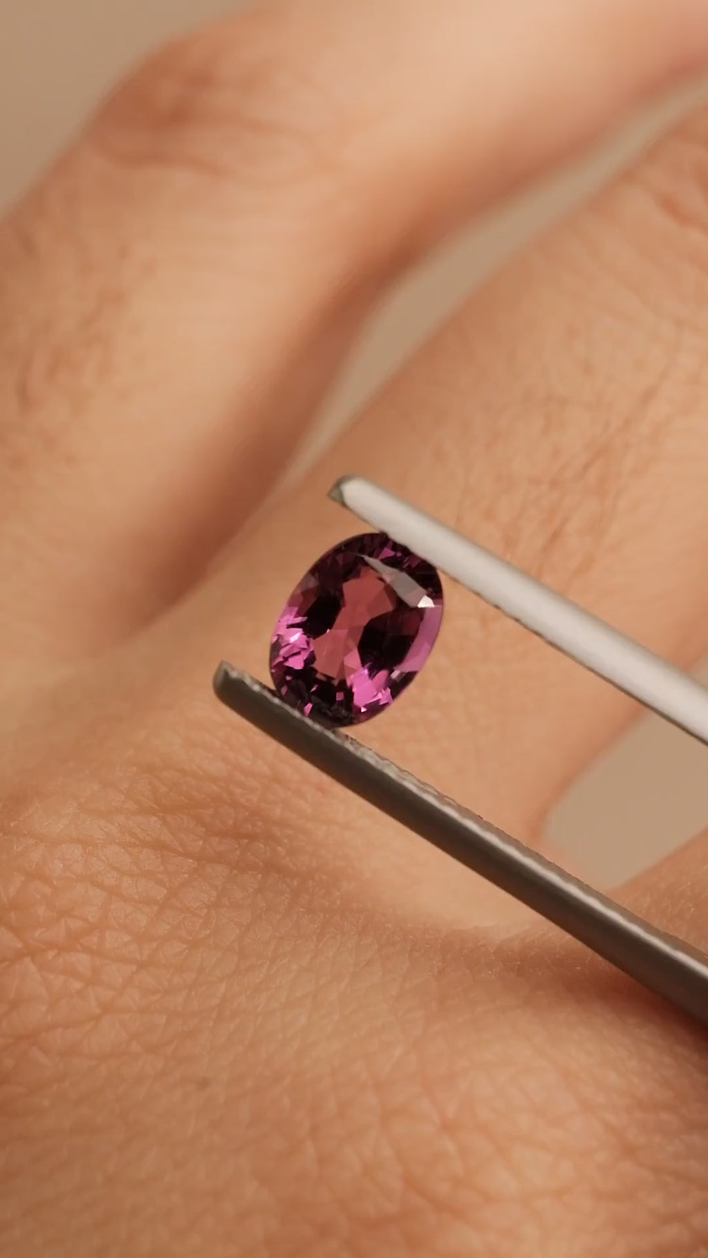 Garnet #5