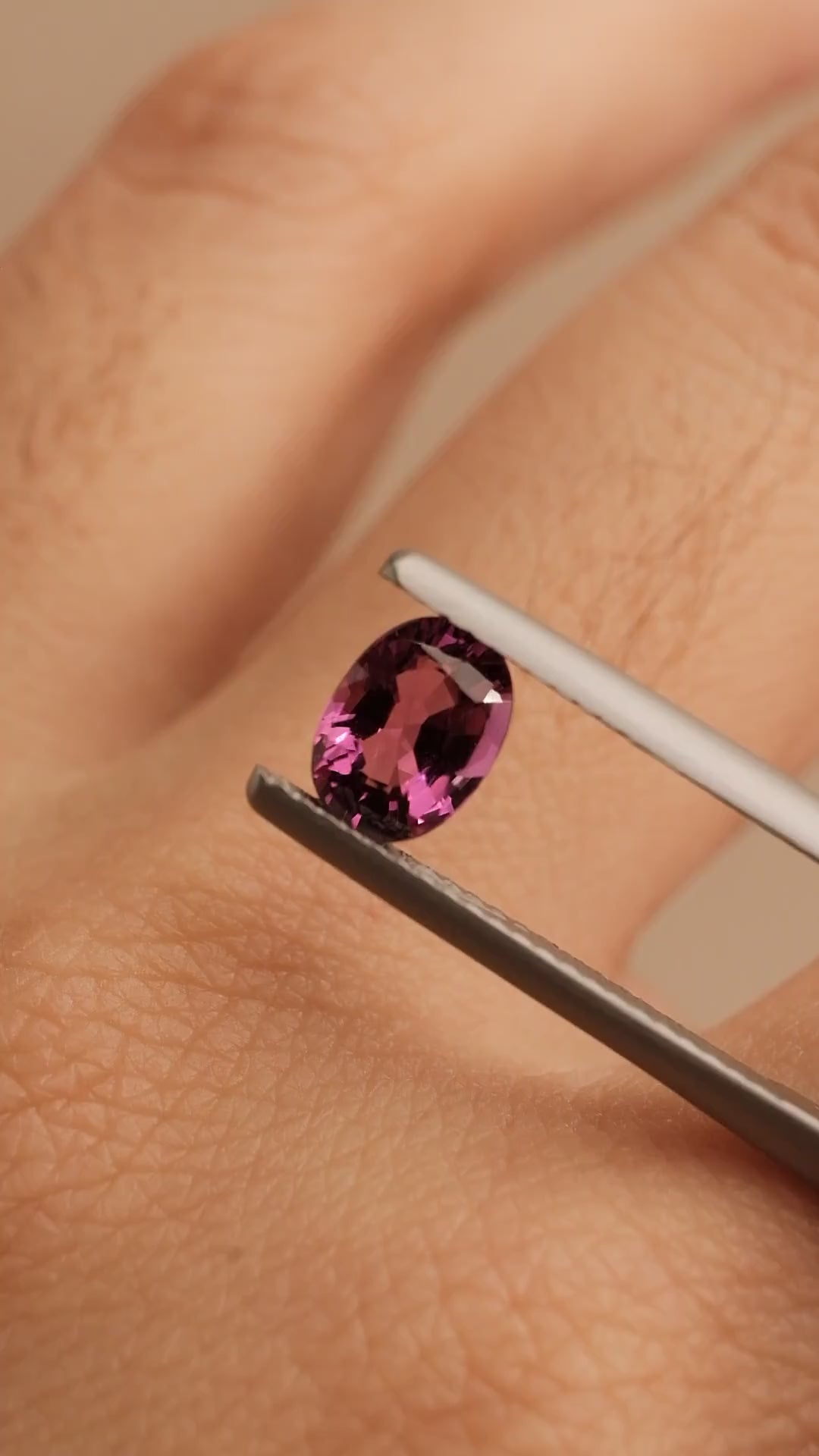 Garnet #5